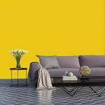 Jaamso Royals Multicolor PVC Yellow Plain Matt Wallpaper Self Adhesive Peel Stick Sticker 60 X 100 cm( 100 CM X 60 CM )