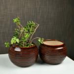 ARTYSTA BEAUTIFYING LIVES Brown Ceramic Cinnamon Ridged Painted Flower Pots for Garden - Pack Of 2