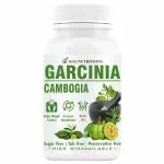 Goa Nutritions GN_GARCINIA_120 Garcinia Cambogia for Weight Loss 120 Tablets