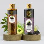Buddha Natural Anti Grey Hair Oil & Shampoo Anti Grey Combo - 100% Ayush Certified - Helps to Reduce Premature Grey Hair & Restore Natural Hair Color