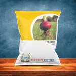 FARMSON BIOTECH PRIVATE LIMITED FB-RED 11 ONION SEEDS (RED OR PINKISH RED)- 500 Gm Pack