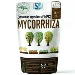 Shiviproducts Organic Mycorrhizal Bio Vam Fungi Essential Fertilizer for Root Growth and Plant Transplant 450 g