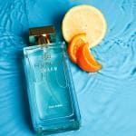 HVNLY Charm Premium Long Lasting Fresh Aquatic and Aromatic Perfume for Men, Gift for Him 100 ml