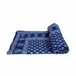 Palsaai jaipuri double bed razai/ quilt made of pure cotton