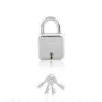 Godrej Locks 6 Levers Square Padlock with 4 Keys Alloy Steel Door Lock for Home (50mm, Pack of 1)