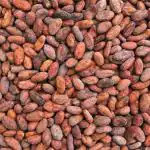 LJL Traders Cocoa Bean Natural for Vegetarian 2498 g