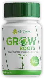 go garden grow Roots Powder Rooting Hormone For Plants Cuttings 0.01 kg - Powder