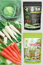 Green World Natural Cabbage, Carrot Red Long and Raddish Seeds