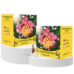 Sri Astha Premium Nag Champa Dhoop Cone Box -(45 qty in each box)