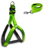 Kuppy Heavy-Duty Dog Harness And Leash Combo Set Dog Belt Dog Chain Dog Harness & Leash (Large, Green)
