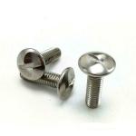RELY (Pcs-25) M6 One way screw