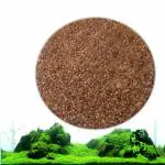 COLOURFUL Aquatic Water Live Plant Seeds for Decoration as Garden Fish Tank Foreground Plant (Small Carpet Leaf)