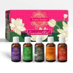 Exotic Aromas Lavender oil, Lemongrass oil, Jasmine oil, Orange Oil, Rose oil (Pack of 5) (50 ML)