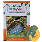 Farmgokart | 5 Gms PUMPKIN (OVAL SHAPED / OBLONG) HYBRID F1 SEEDS | for Home Gardening, Farming & Hydroponics |