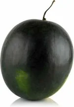 NooElec Seeds India 35+ Seeds Black Diamond Watermelon Seeds for Planting - Heirloom Non-GMO Fruit Seeds for Planting