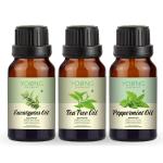 Young Chemist Eucalyptus, Tea Tree and Peppermint Essential Oil Hair Growth and Aromatherapy for Hair 45 ml Pack of 3