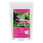 Neotea Banana Flower Vazhaipoo Powder, 300 gm (100 g)