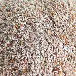 Xetomos Isabgol Psyllium Seed Isabgul Full Seed PLANTAGO OVATA 250g