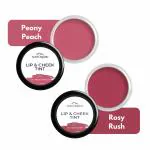 Aravi Organic Lip and Cheek Tint - With Goodness of Vitamin E & Candelila Wax - Nourishes & Hydrates Dry Chapped Lips, Blush & Eyeshadow For All Skin Types - 8 gm Each (Peony Peach & Rosy Rush)