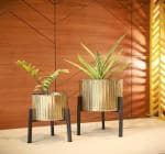 Bca Kapdewala-Zen Zone Cachepot Tall Planter Pots with Stands - Gold | Aesthetic and Modern Style Plant Pot for Office, Home, Living Room & Drawing Room | Sturdy Iron Metal Construction - Pack of 2