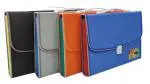 Rangwell 534 Multicolor Folder File with 13 Section Pockets for A4 Size Sheets