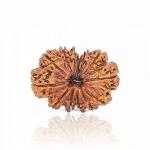 Feel Touch Mart 13 Mukhi Rudraksha 13 Genuine 23mm Nepal Rudraksha Bead Thirteen Face Rudraksha Silver Pendant Bead 13 Face by Lab Certified