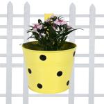 Trustbasket Yellow Single Pot Railing Planter (1)