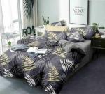 BLUEDOT Multicolor Printed Microfiber Double Flat Bedsheets with Pillow Cover (228 x 228 cm)