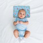 Kradyl Kroft Baby Head Shaping Pillow with 100% Cotton Removable Cover | Applr Biogen Foam Construct | New Born Pillow for Flat Head Prevention - Dancing Penguins