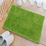 Homefurry Grass Door Mats