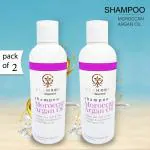 Glamroot Moroccan Argan Oil Shampoo for Smooth and Silky Hair 250 ml (Pack of 2)