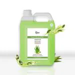 VRH Lemon & Tulsi Sanitizer | Non-Sticky & Anti Bacterial | Kills 99.99% Germs Instantly 5Ltr