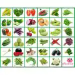 Afflorance Non GMO Vegetable Seeds 45 Variety of Fresh Harvested