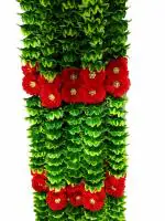 Afarza Red Plastic Artificial Flower Toran For Door Hanging