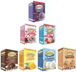 Dharmasut Black Currant, Rose, Strawberry, Chocolate, Mango, Vanilla, Butterscotch Ice Cream Powder, 100 G Each (Combo Of 7)