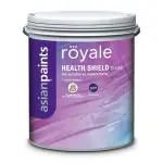 Asian Paints Clear Coating Paint - 4L