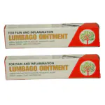 VISHWACHAITANYA AYURVEDIYA RASA-SHALA Lumbago Ointment 15 gm for pain and inflammation, Herbal healing for spondylitis, Traumatic injury, Sprain, Strain, Joint pain (Pack of 2)