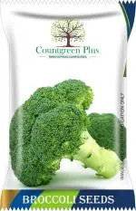 Countgreen Plus Brocolli Vegetable Seeds Seed, 100 Per Packet