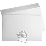 CRAFTWAFT HERBARIUM SHEET WITH LABEL PACK OF 50 WHITE 28X35 120 gsm Project Paper (Set of 50, White)