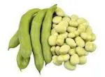 PARYAVARAAN Fava Beans Seeds Vegetable Seeds 80% Germination For Garden pack of 10 seeds