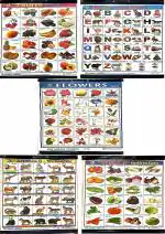 PMW - 5 Charts For Kids - 18 Inch X 24 Inch Wall Hanging Charts - Primary Education For Kids - Fruits, Alphabets, Vegetables, Flowers, Animals
