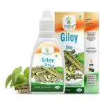 HERBAL YUG Pure Giloy Drop to Support Boost Immunity and Strength of Body (30ml) (Pack_of_2)