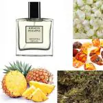 Menjewell HAWAIIAN PINEAPPLE Perfume|Long Lasting Perfume For Men & Women|Best Everyday Eau de Parfum - 50 ml (For Men & Women)