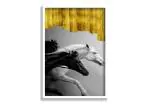 SAF Horse White Frame painting for Wall Decoration SA-COMBO-158-M1