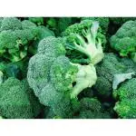 Afflorance Broccoli Vegetable Seeds (Pack of 50 Seeds)