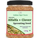 i Agri Farm Seeds for Sprouting - 250g each/Combo Pack of Alfalfa, Clover seeds