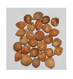 PMW - LAGHU NARIYAL - MAHALAKSHMI Coconut - Small Coconut - Set of 21 - Loose Packed