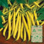 Optimal Seeds Golden Wax Climbing Beans Vegetable Seeds (10 Nos)