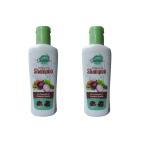 Blending Boons Of Gratitude Cherry Antigreying Shampoo (100ml, Dark brown) Pack of 2
