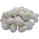 Taiyo Pluss Discovery Aquarium Decoration Polished Glossy Pebble Stones 1 kg